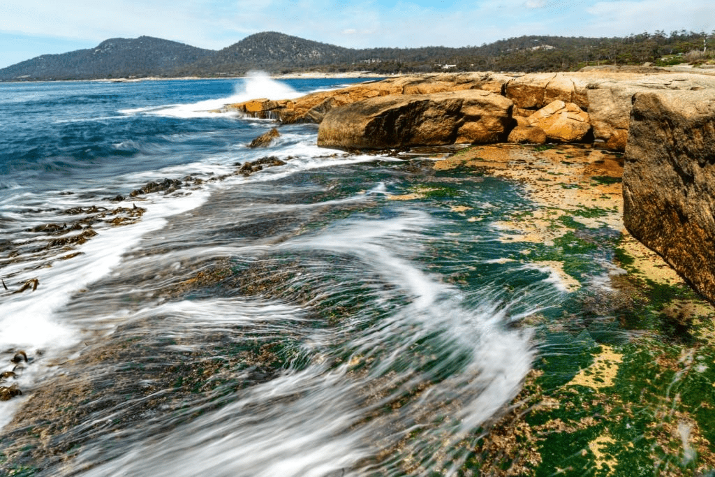 Clear and pure spring water flowing in Tasmania, Australia, representing one of the best water sources for hydration.